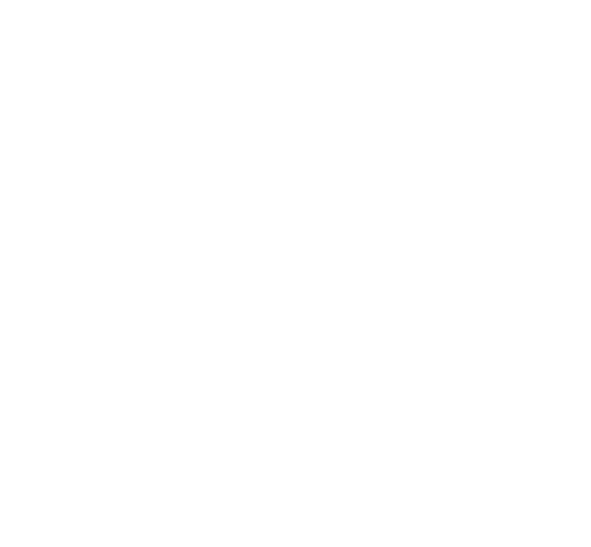 service crisis management