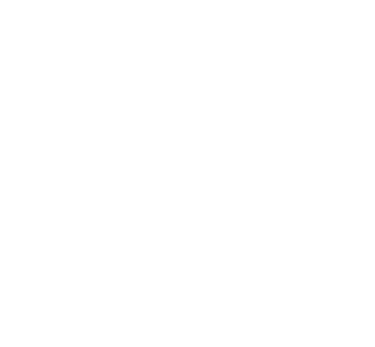 service web development